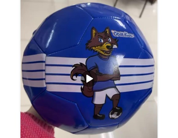 BOLA DE FUTEBOL N5 CRUZEIRO