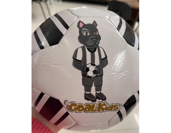 BOLA DE FUTEBOL N5 BOTAFOGO